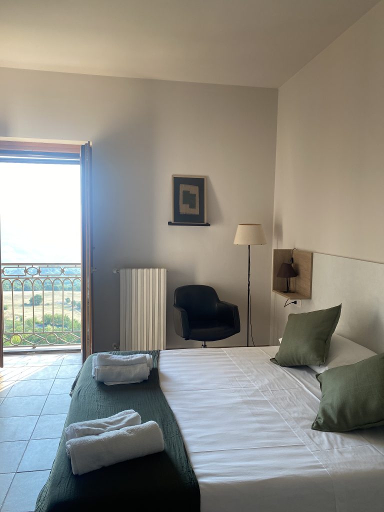 Double Room (Super King) Mountain View