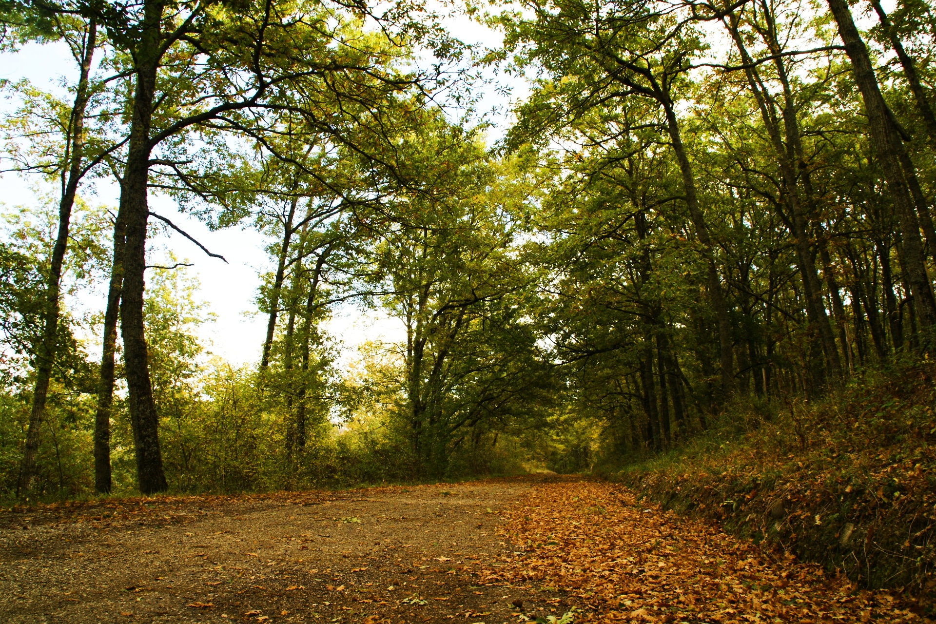 A local Italian adventure exploring Rapone's elements