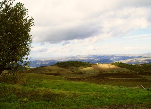How to Be at One with Nature: 6 Simple Ways to Reconnect