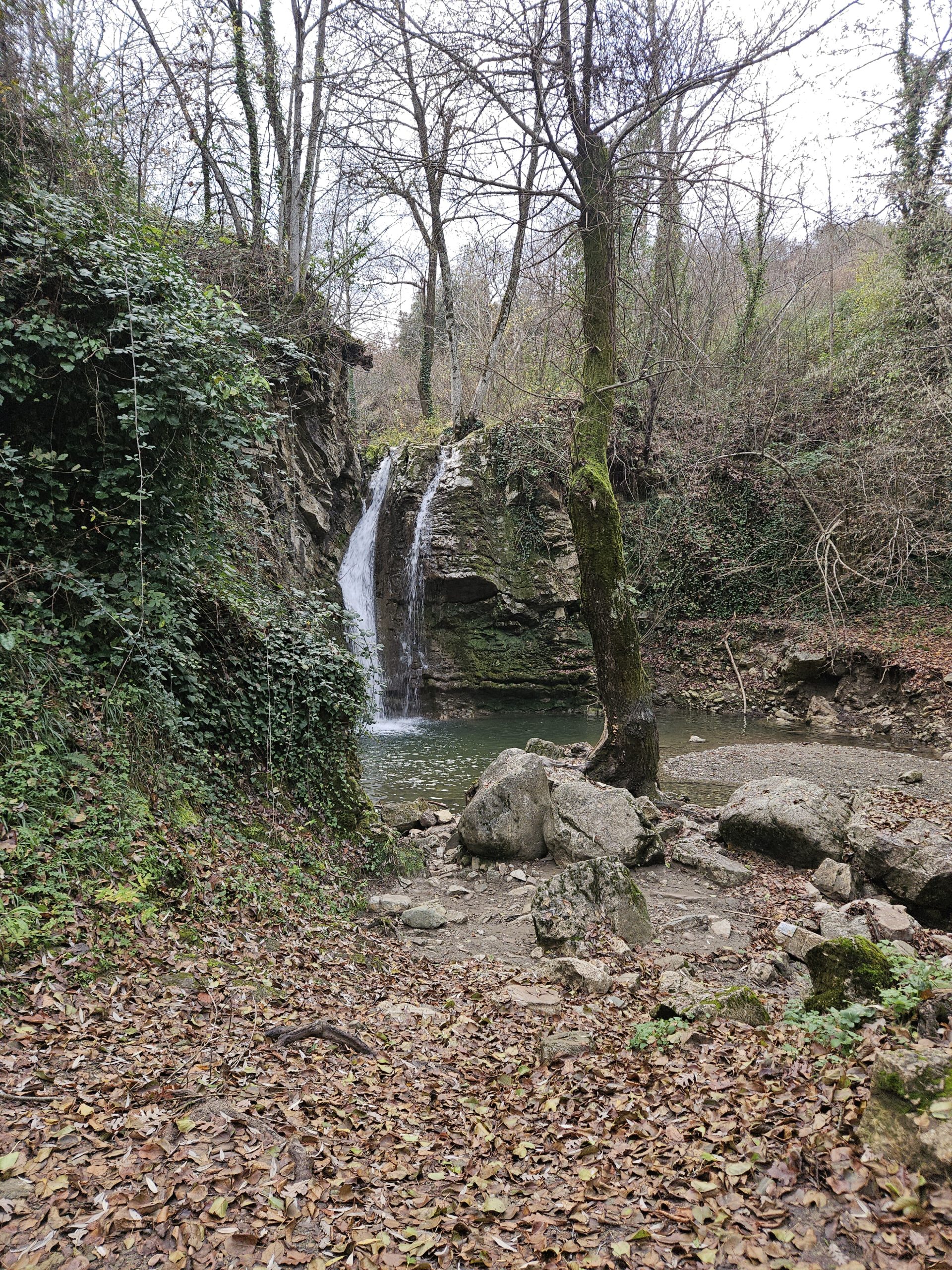 Wilderness 